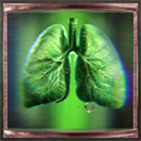 Castle of Terror 2 Lungs