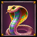 Duel of Night & Day Cobra