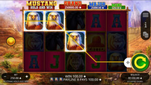 Mustang Hold and Win Win