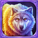 Mustang Hold and Win Wolf