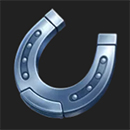 Wild Million Horseshoe