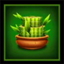 3 Coin Treasures Cactus
