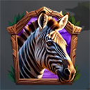 Serengeti Sunrise Zebra