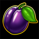 243 Clover Fruits Plum