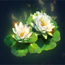 Blazing Horses Hold and Win Lillypads