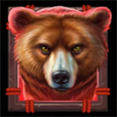 Buffalo Christmas Canyon Bear