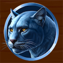 Buffalo’s Wealth Fortune Panther