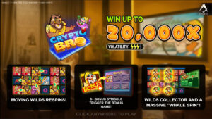 Crypto Bro Homescreen