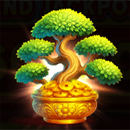 Dragon Tiger Fortunes Bonzai