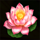 Dragon Tiger Fortunes Flower