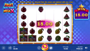 Fruit Machine Mega X Win