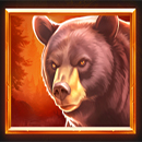 WolfWood PrizeTower Bear