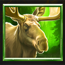 WolfWood PrizeTower ELK