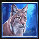 WolfWood PrizeTower Lynx