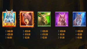 WolfWood PrizeTower Paytable