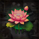 3 Power Dragons Flower