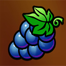 Mega Fortune Hold ‘N’ Win Grape