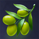 Olympus 7’s Dream Drop Olive