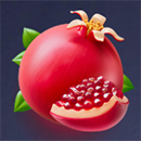 Olympus 7’s Dream Drop Pomegranet