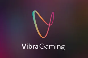 Vibra Gaming