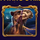 10001 Nights Paytable Symbol 7