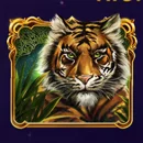 10001 Nights Paytable Symbol 8