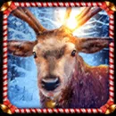 Book Of Xmas Paytable Symbol 7