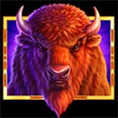 Buffalo 50 Symbol Buffalo