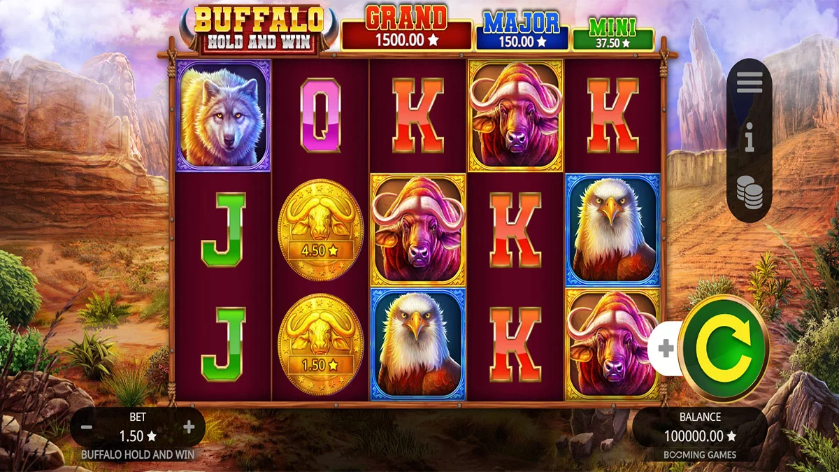 Buffalo Hold and Win Base