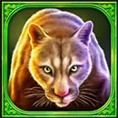 Buffalo Hold and Win Lioness