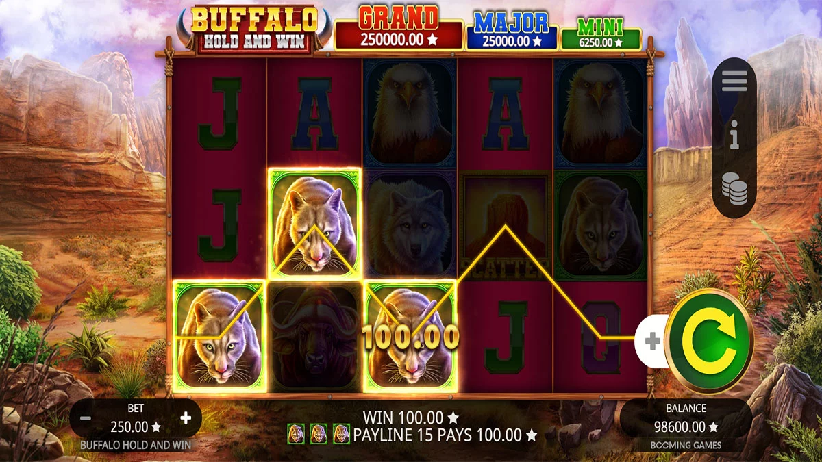 Buffalo Hold and Win Win