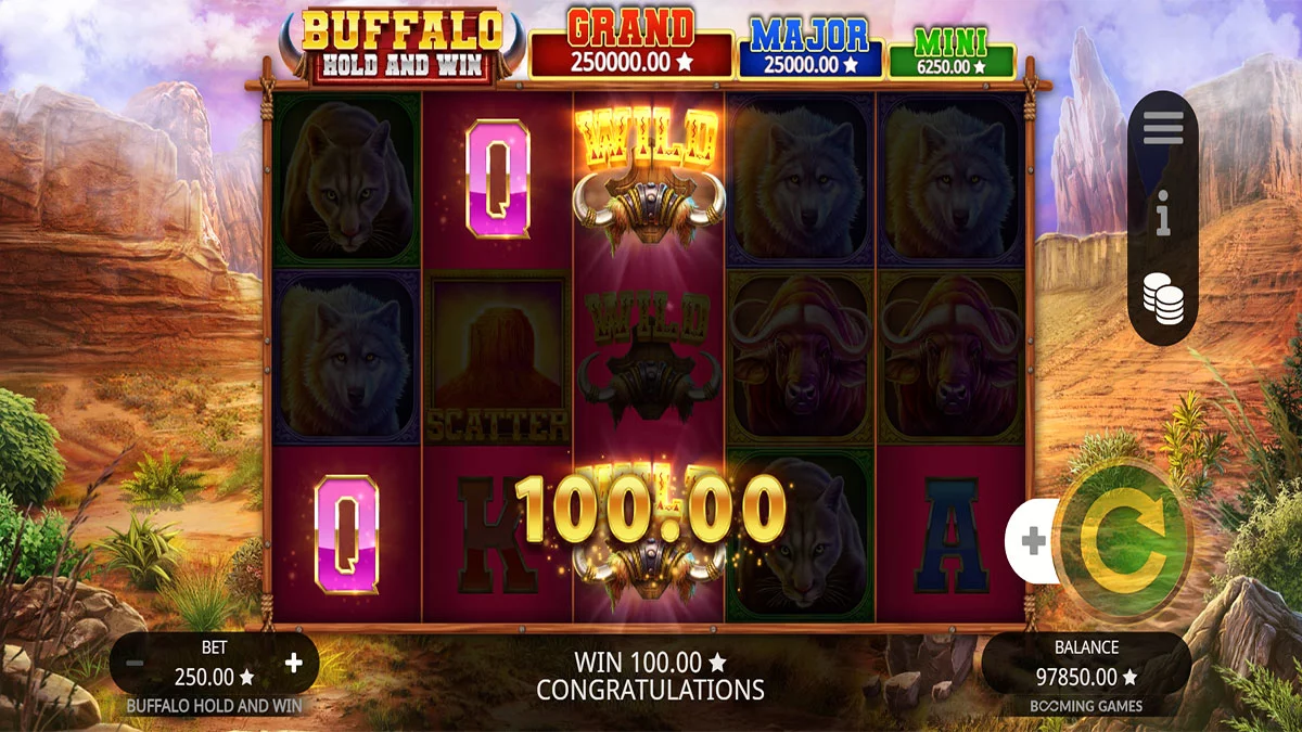 Buffalo Hold and Win Win2
