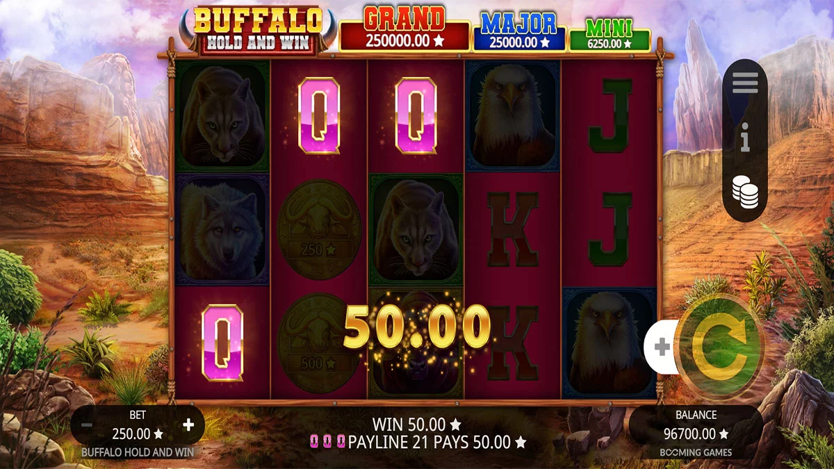 Buffalo Hold and Win Win3