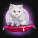 Book of Lady Symbol Cat