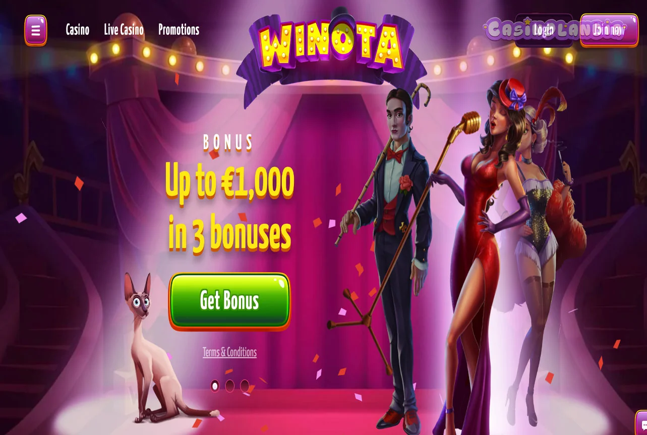 Desktop Winota casino