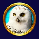 Frozen Queen Paytable SYmbol 5