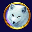 Frozen Queen Paytable SYmbol 6