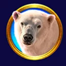 Frozen Queen Paytable SYmbol 7