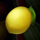 Fruits Go Multiply Paytable Symbol 2