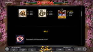 Geisha Paytable 2