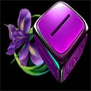 Little Panda Dice Symbol Purple Flower