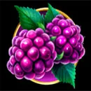 Red Cap Symbol Berry