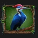 Primal Wilderness Slot