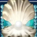 Pearl Lagoon Slot
