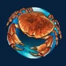 Pearl Lagoon Slot