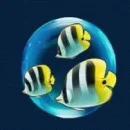 Pearl Lagoon Slot