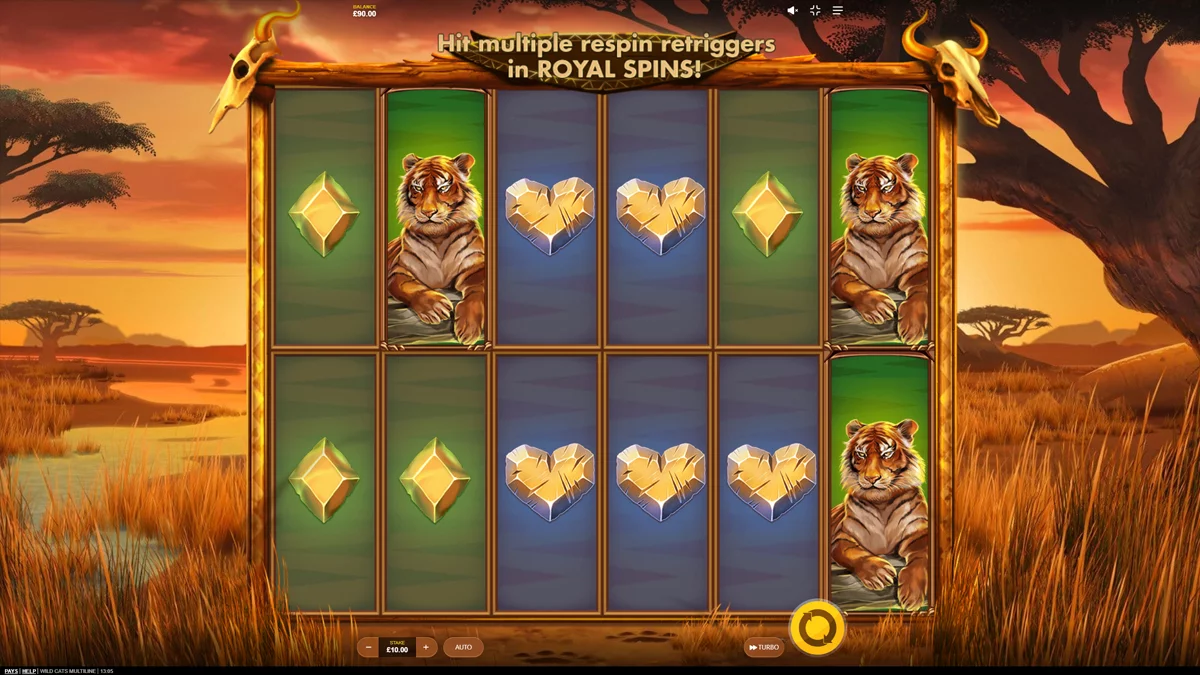 Wild Cats Multiline Base Play
