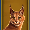 Wild Cats Multiline Paytable Symbol 6