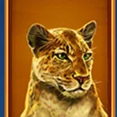 Wild Cats Multiline Paytable Symbol 7