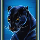 Wild Cats Multiline Paytable Symbol 8